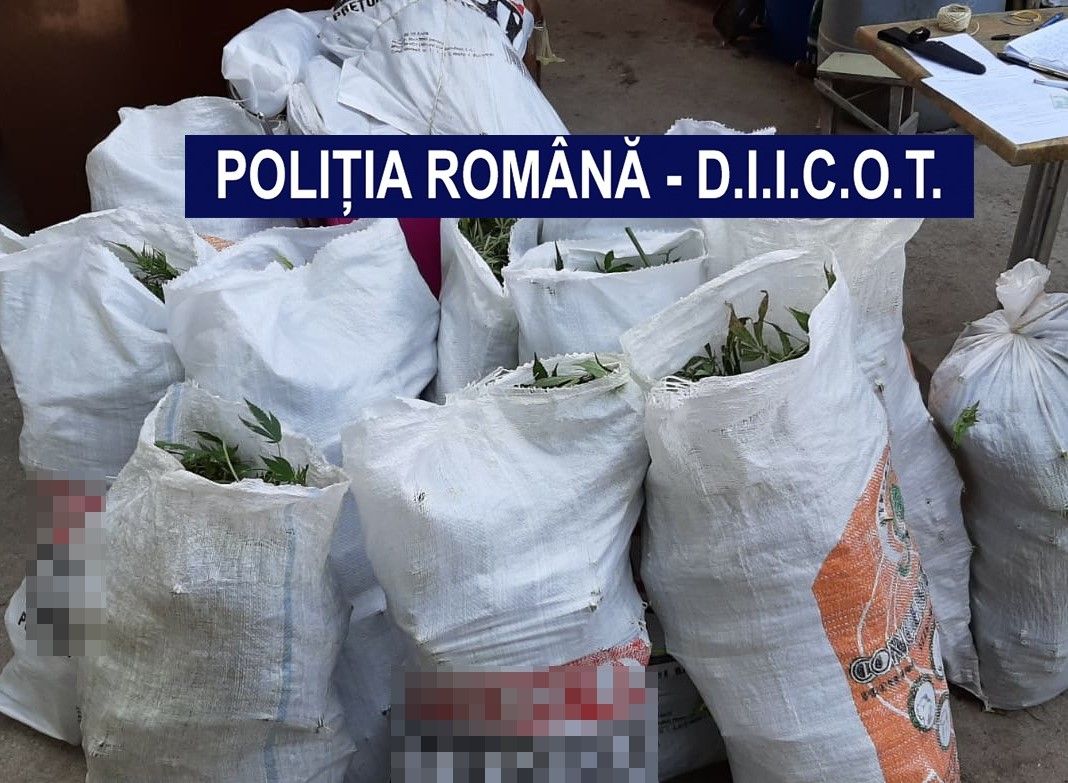 Arestări în rândul rețelei de traficanți de droguri de la Eșelnița