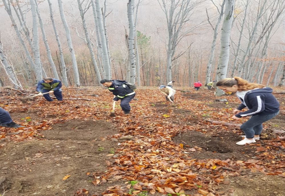 Pompierii din cadrul ISU Mehedinţi alături de elevi într-o acţiune de împădurire