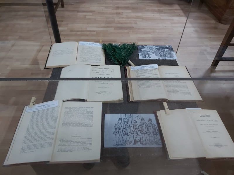Expoziție inedită la Biblioteca Județeană ”I.G.Bibicescu”