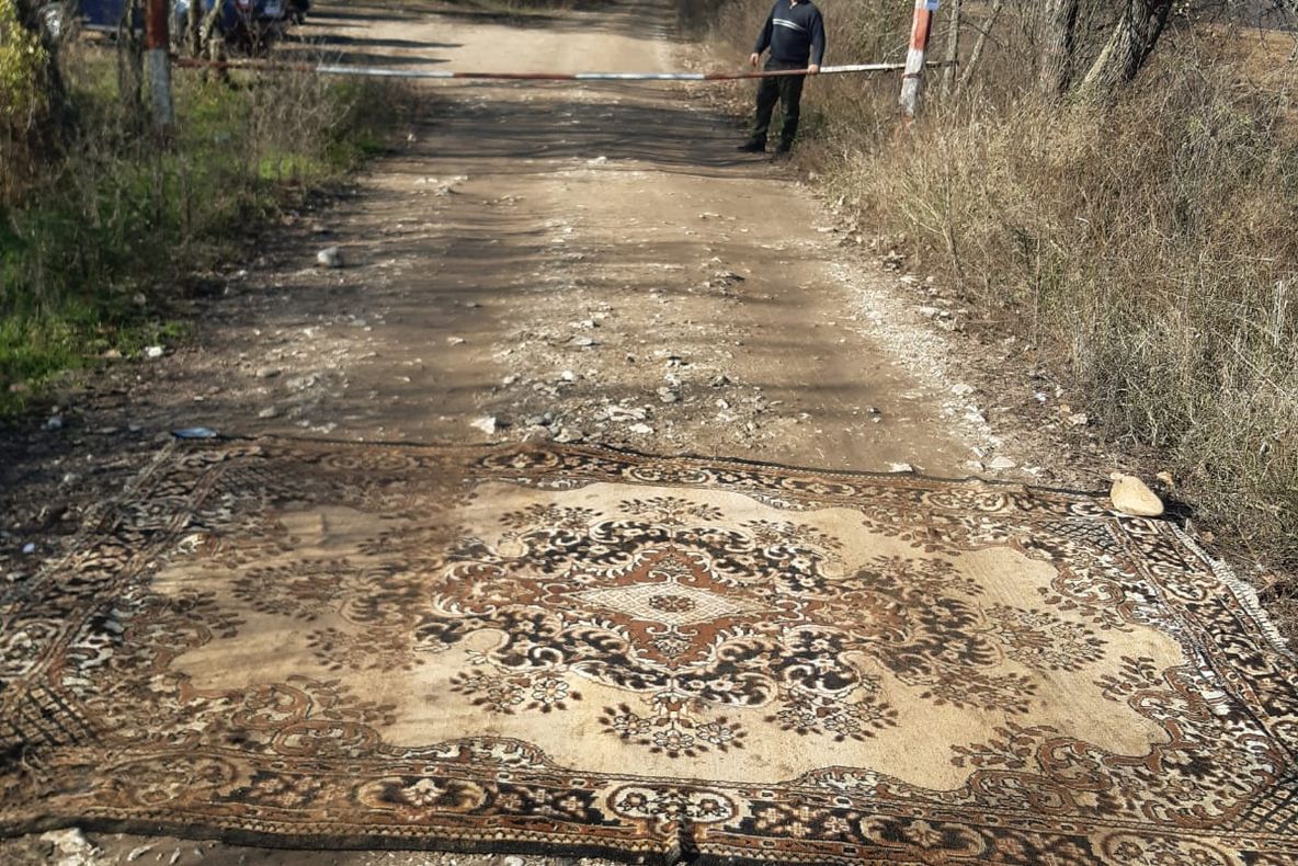 Aproape 20 de mistreţi împuşcaţi în Mehedinți, din cauza pestei porcine africane