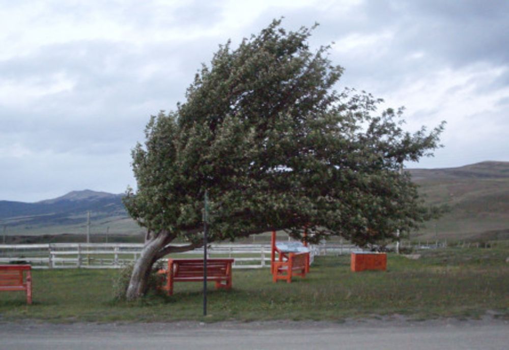 Județul Mehedinți sub avertizare de Cod Galben de vânt 