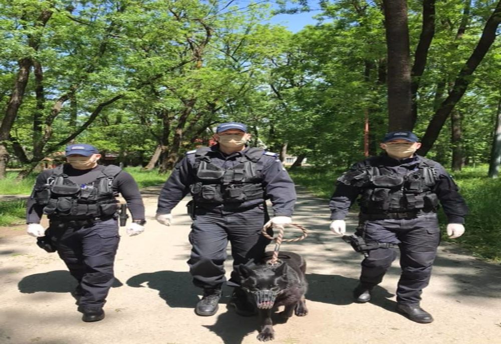 Măsuri speciale de ordine publică în perioada Rusaliilor