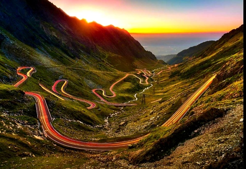 Nu riscați pentru o fotografie cu ursul!