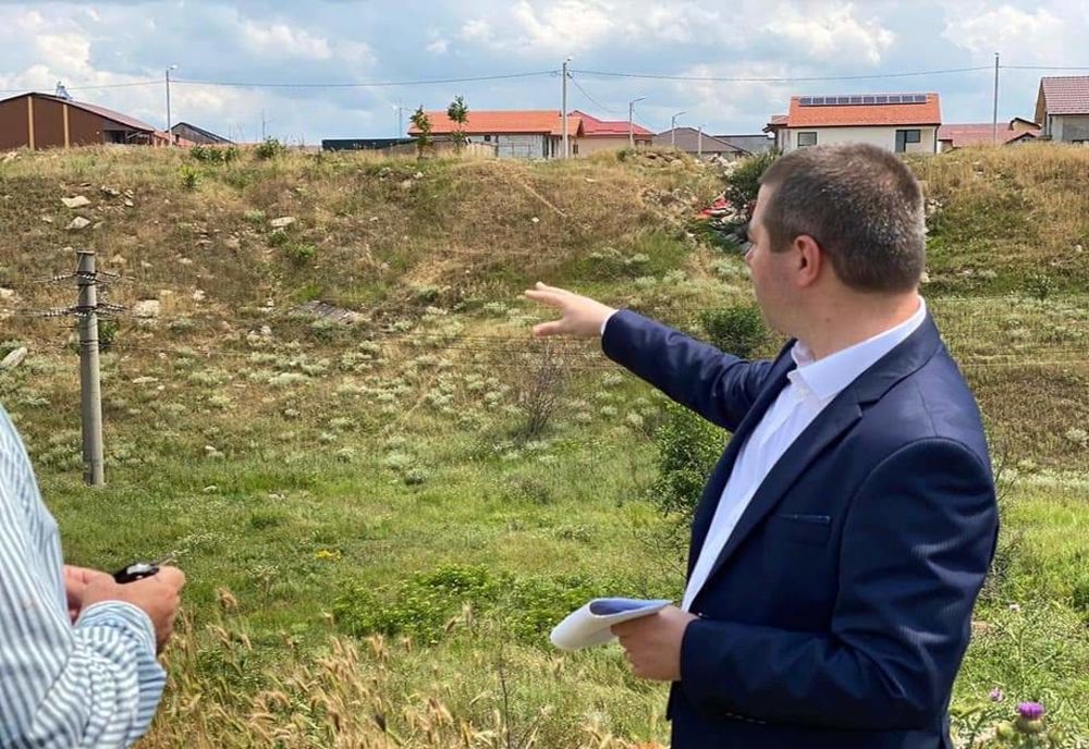 Proiect pentru împădurire în Drobeta Turnu Severin