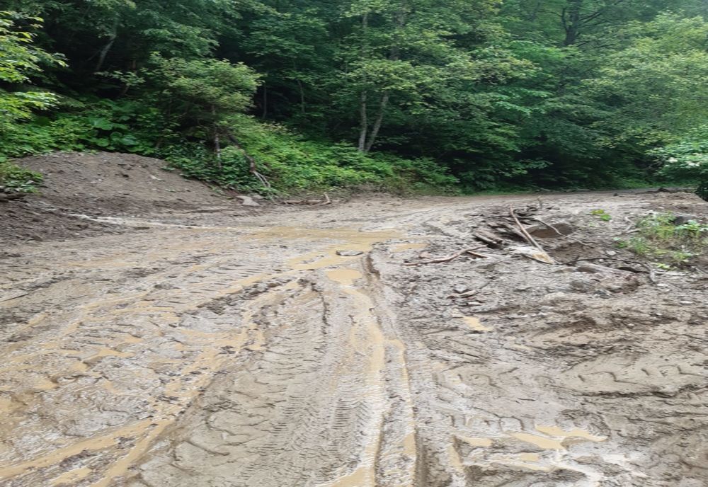 Mehedinți, sub incidența codului galben de instabilitate atmosferică