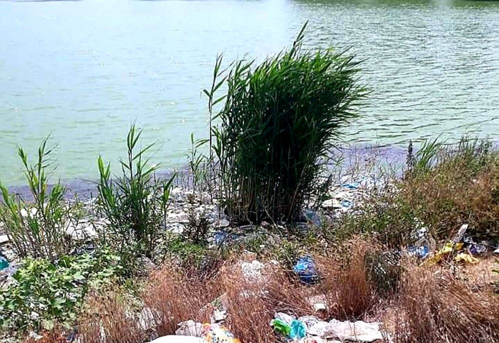 Stop poluării mediului! 