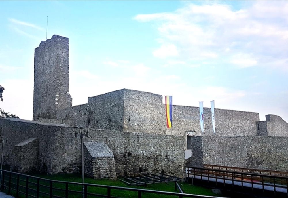 Aladin Georgescu a rămas în funcția de președinte al CJ Mehedinți