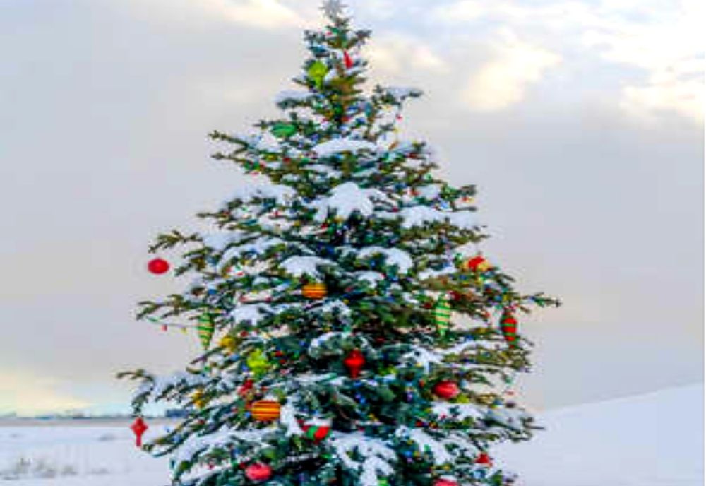 Iluminatul festiv, pornit în seara Sfântului Andrei