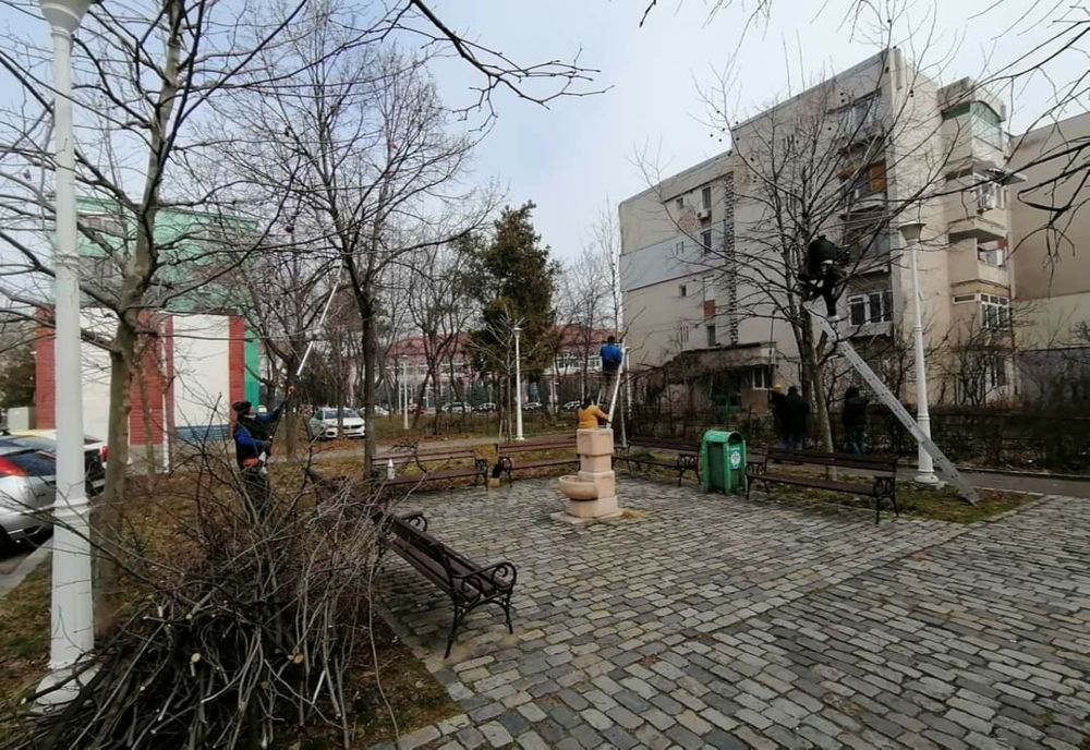 Severin, acțiuni de toaletare a copacilor și curățenie