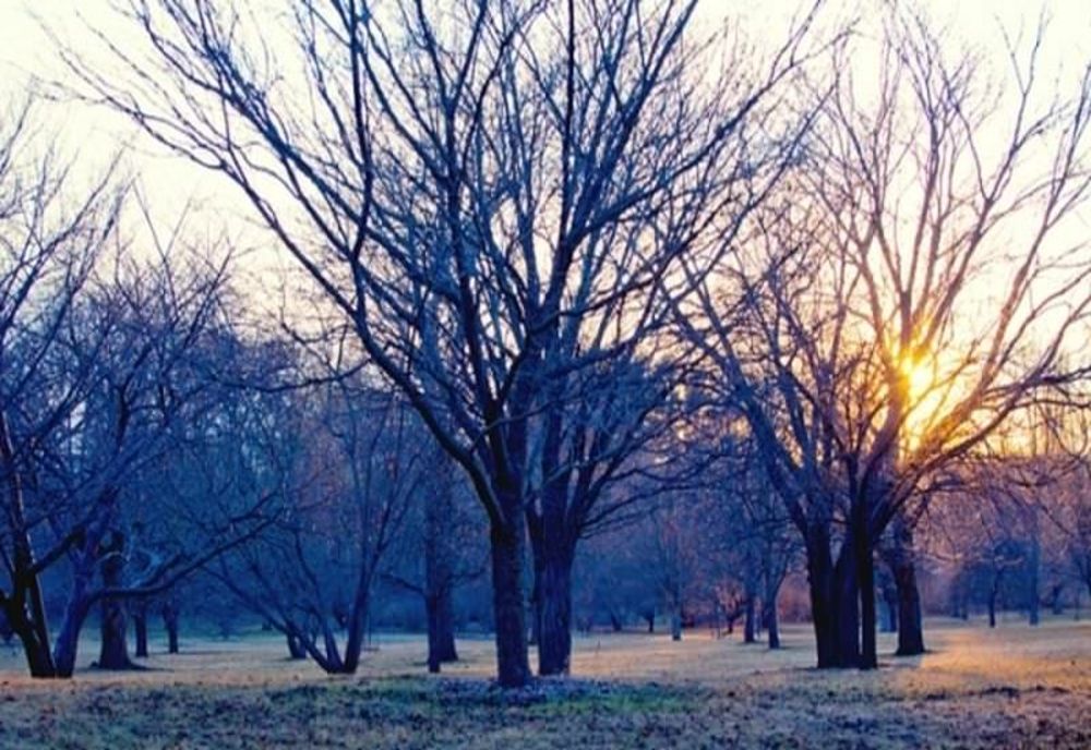 Iarna va reveni la început de martie