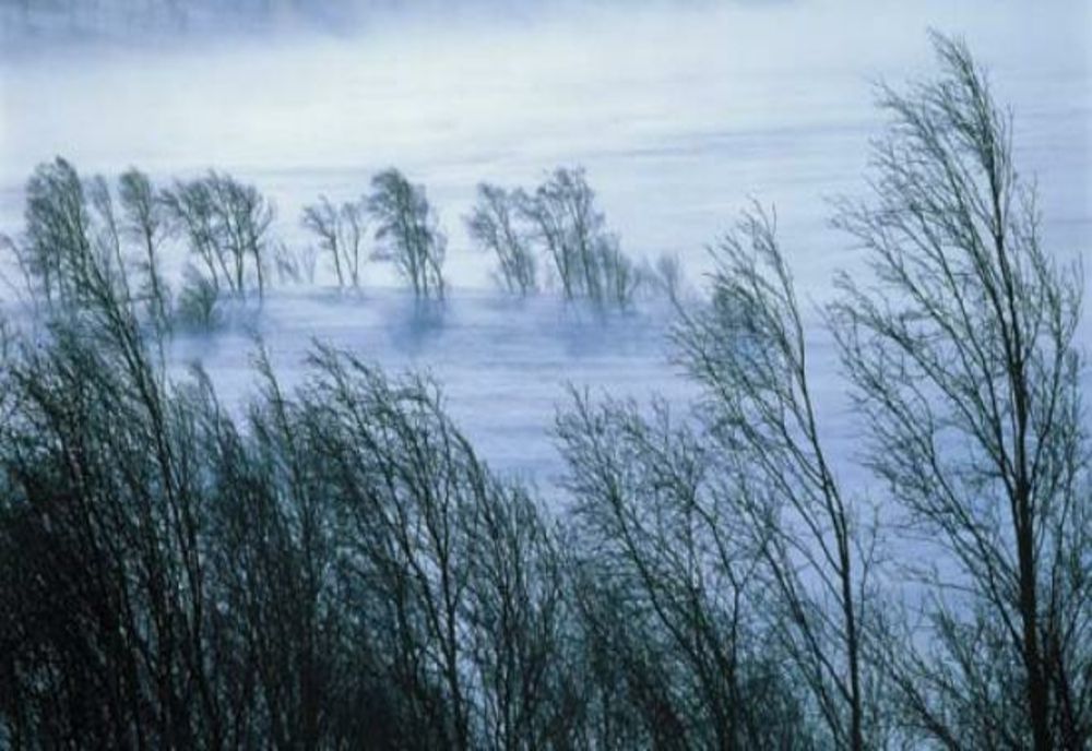 Ninsoare și vânt puternic în 9 județe