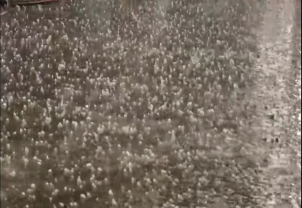  Grindină în județul Mehedinți. Culturi afectate în câteva minute de ploaie 