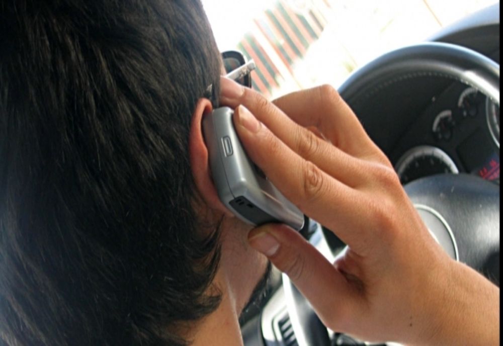 Reptilă periculoasă pe gardul unei proprietăți din Severin. Un cetățean  a solicitat sprijin prin 112