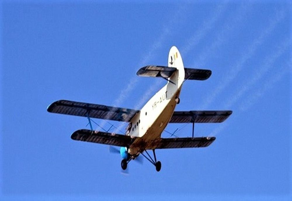 În Severin se vor aplica tratamente de combatere a insectelor