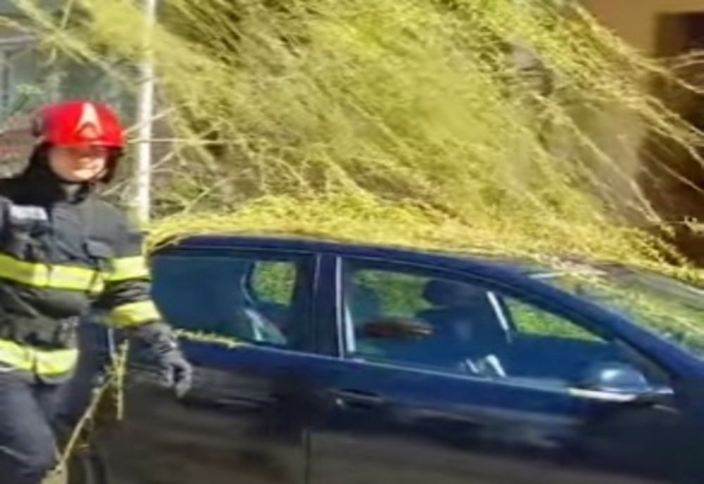 Un copac a căzut pe un autoturism parcat din cauza vântului