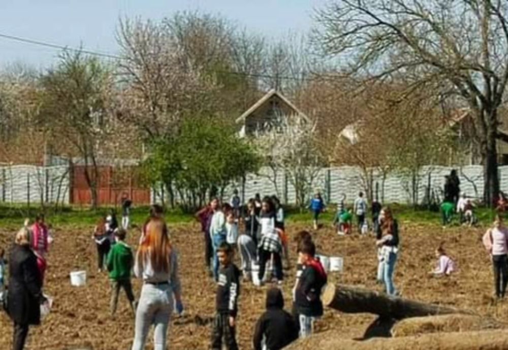 Elevii din din Malovăț și Vânători au plantat pomi fructiferi, alături de profesori