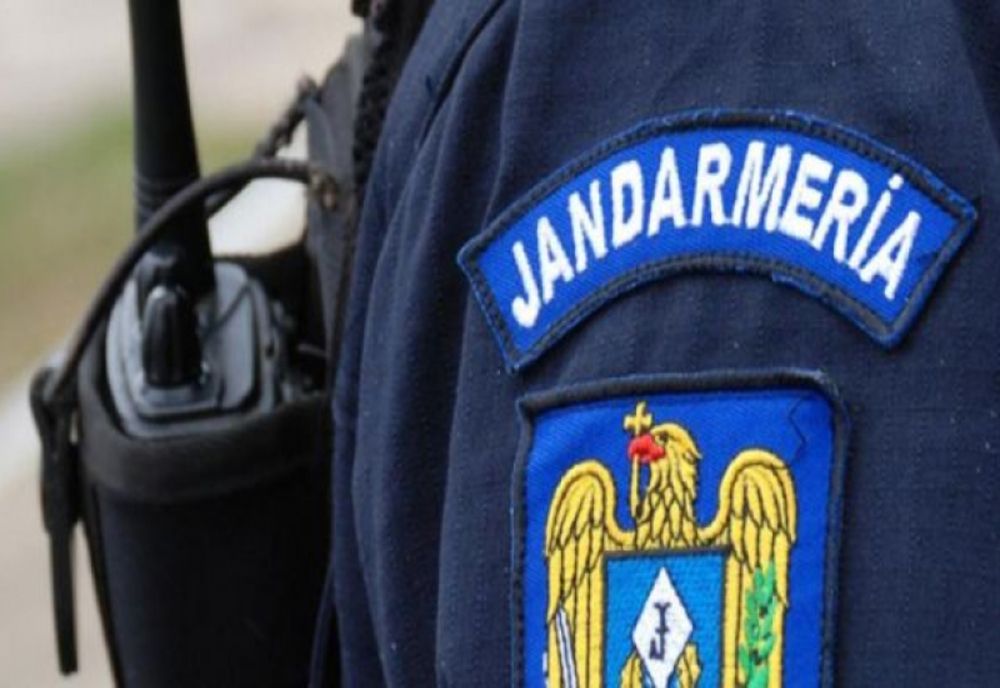 Reptilă într-un peco. Se afla pe cablurile de alimentare ale unei pompe de benzină