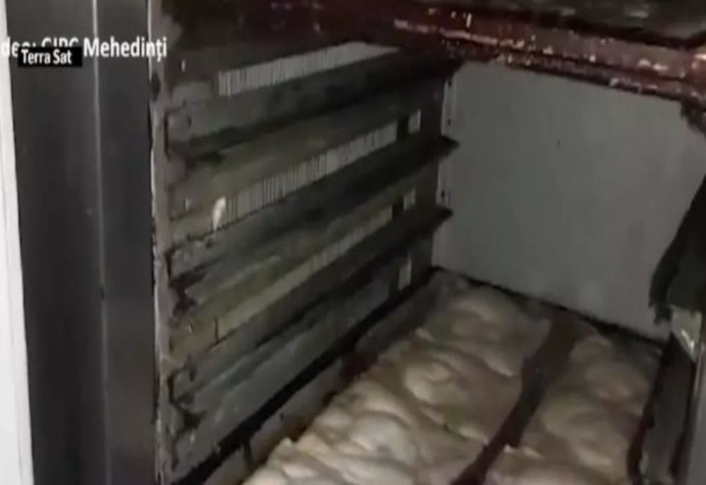 ATENȚIE la ce mâncăm! Gândaci, ulei refolosit, mizerie și rugină la o covrigărie și un magazin alimentar din Mehedinți