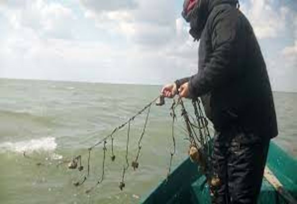 PESCARII CER INTERZICEREA PESCUITULUI ȘTIUCII ÎN DELTĂ