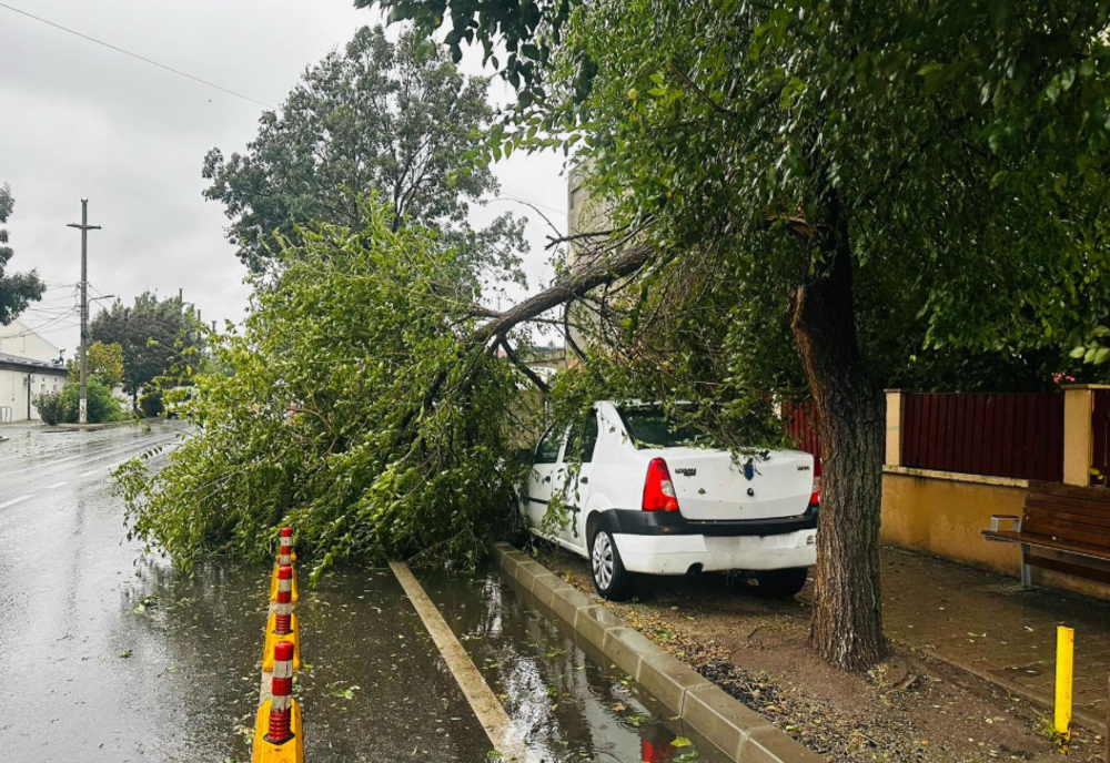 HAOS ÎN MAI MULTE JUDEȚE DIN CAUZA PLOILOR ABUNDENTE 
