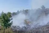 Alertă în Caraș-Severin: incendiile de vegetație se extind, zeci de pompieri și silvicultori se luptă cu flăcările - VIDEO