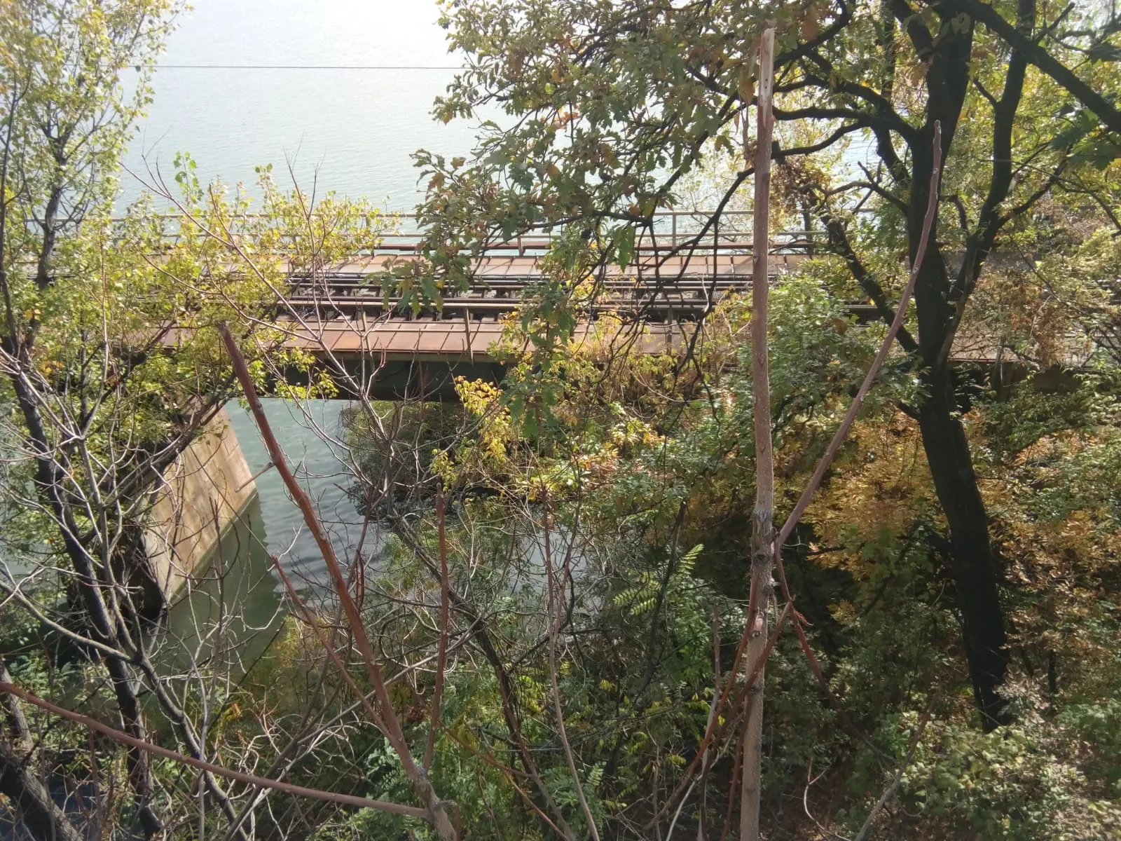 mortul de pe viaducte