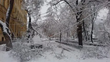 timisoara_zapada_09390600