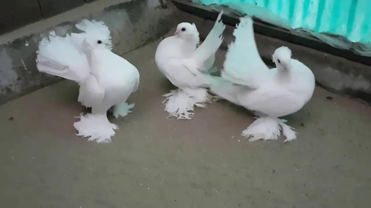 55760