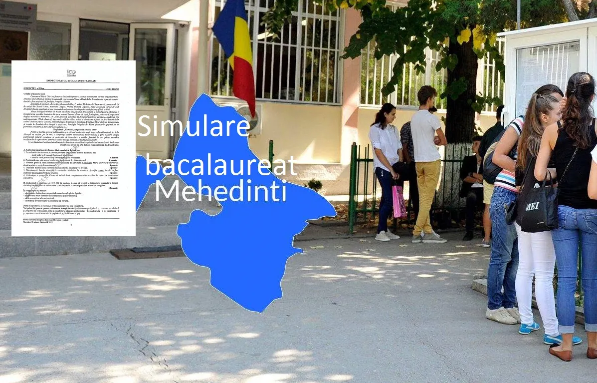simulare bac