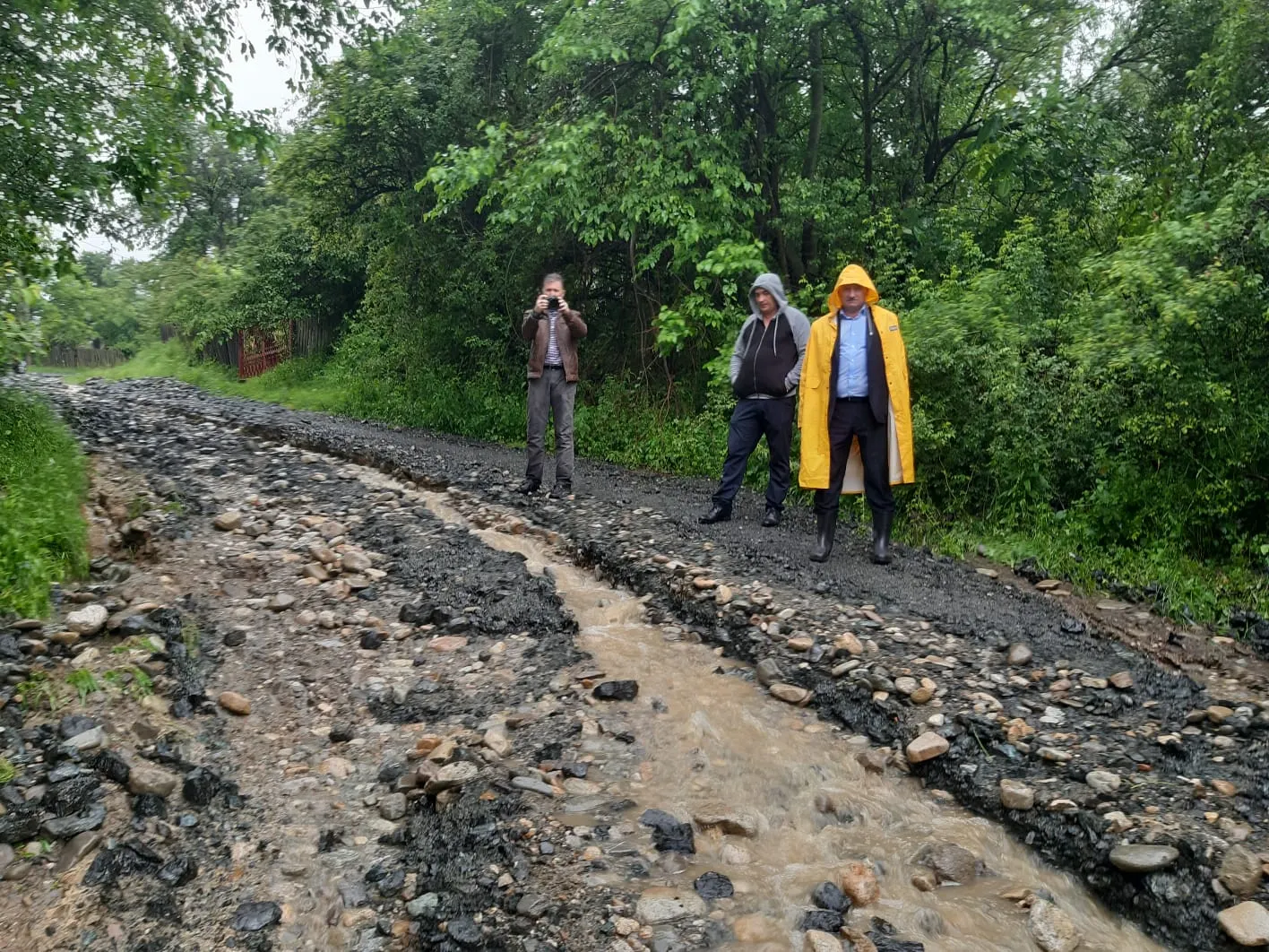pagube inundatii