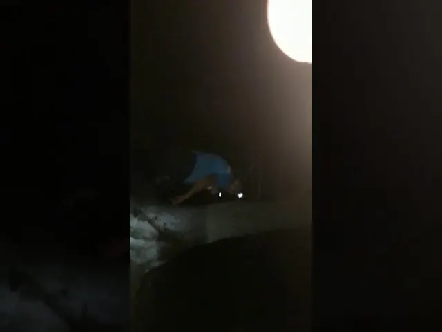 57454