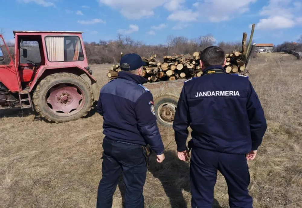 Bărbat prins în flagrant când fura lemne dintr-o pădure din Mehedinți