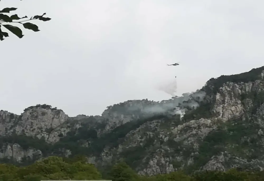 Care a fost cauza incendiului declanșat în Parcul Național "Domogled-Valea Cernei"