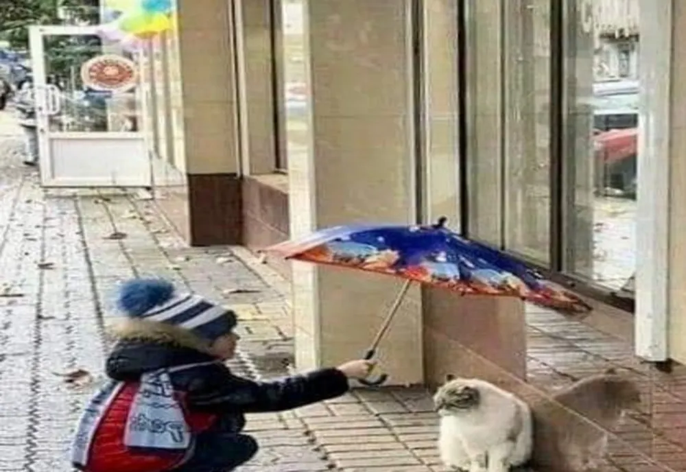 Haideți, să fim echipă, nu e greu!