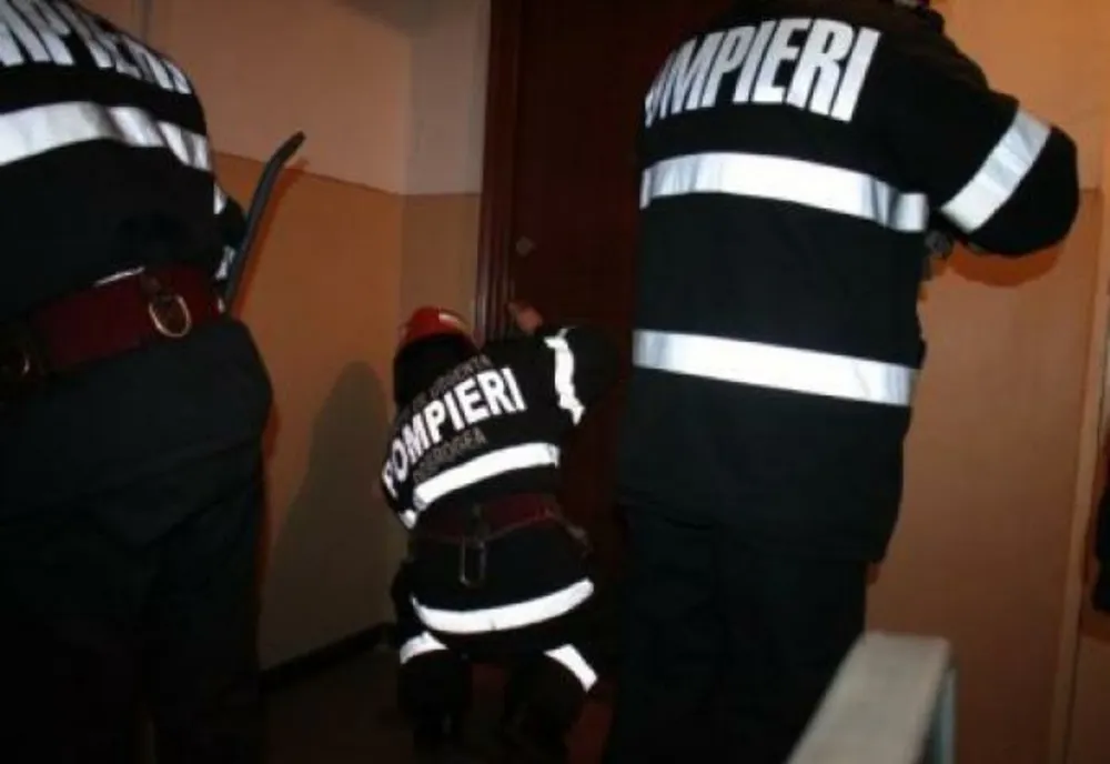 Funcționarii unei instituții au observat o viperă ascunsă într-unul dintre birouri