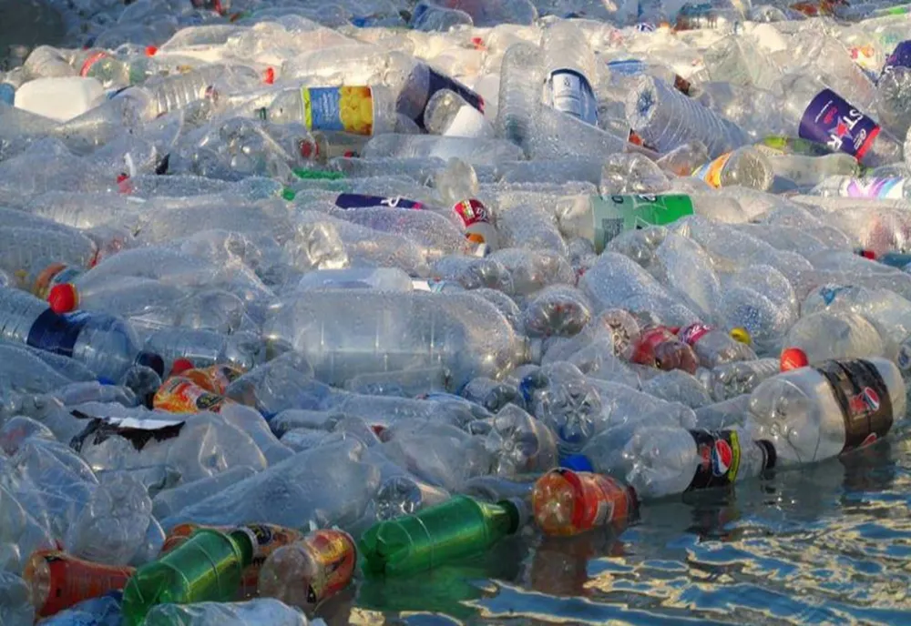 Aproape 2,5 tone de plastic au fost strânse de pe râul Olt, inclusiv cu caiacul