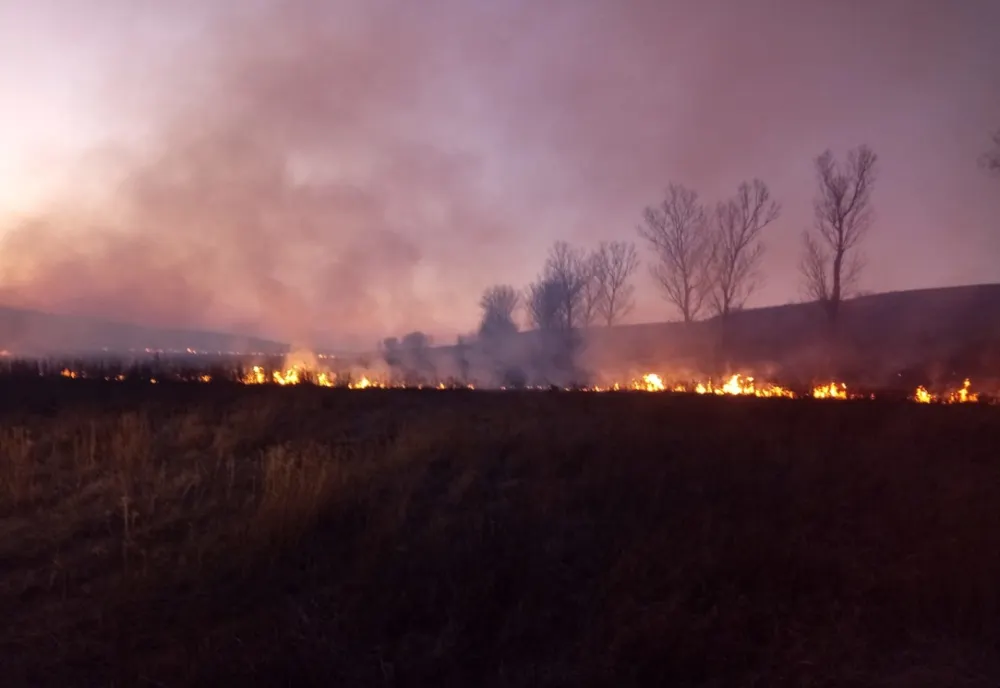 Depozit auto în flăcări. Vegetație afectată. Trafic oprit