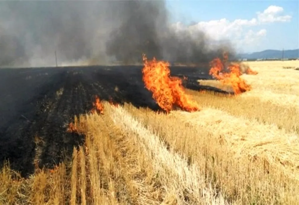 10 hectare de vegetație în  flăcări. Unde se întâmplă