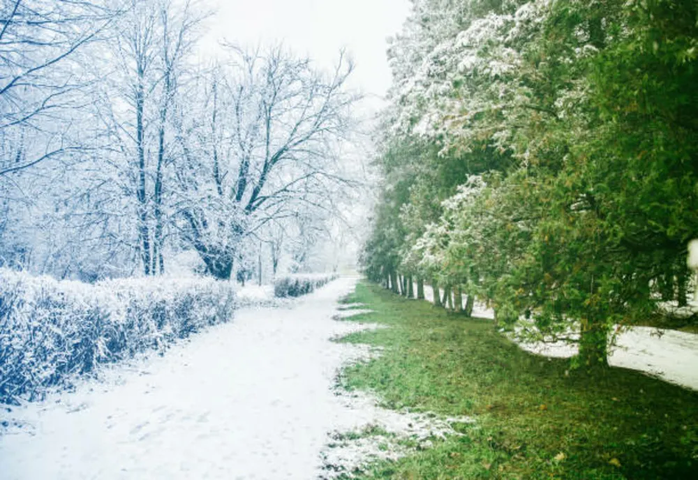 Vreme rece în cea mai mare parte a ţării. Unde va ninge