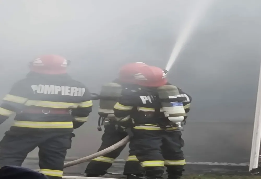 O cabană din lemn din Orșova a fost cuprinsă de flăcări