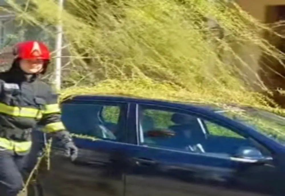 Un copac a căzut pe un autoturism parcat din cauza vântului