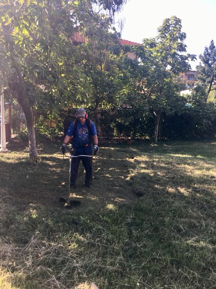 40677378_1850916101653972_391090341765185536_n