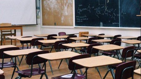 mierea_in_scoli_92788300