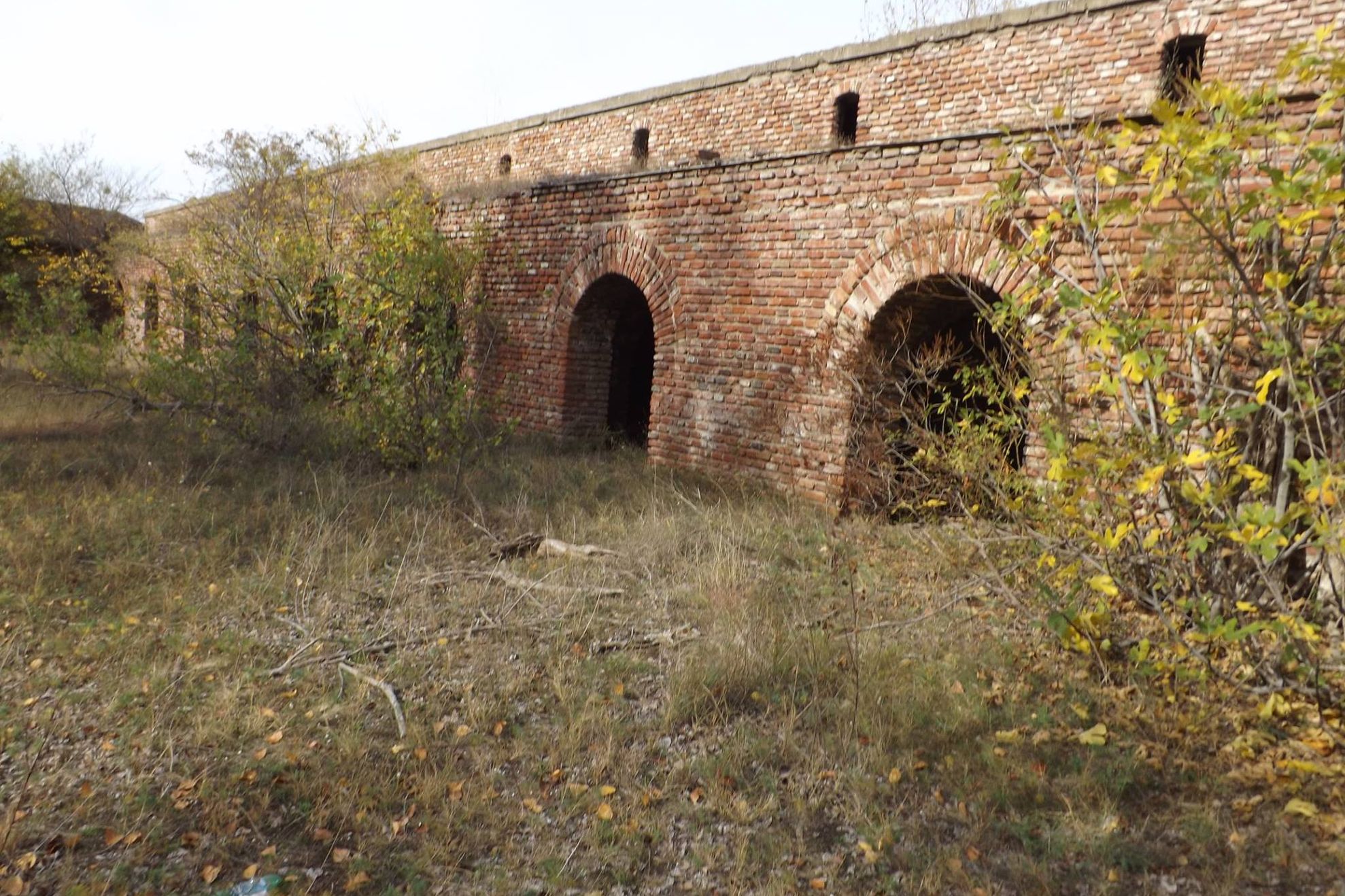 43351636_705776039798611_9194637305485197312_o