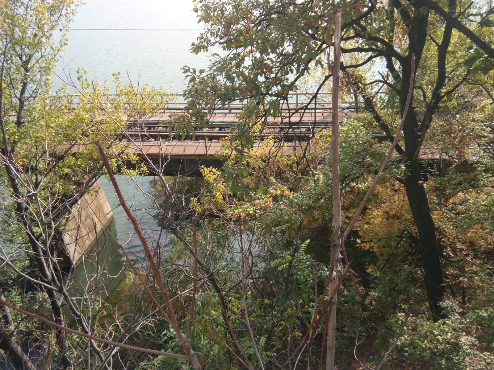 mortul de pe viaducte