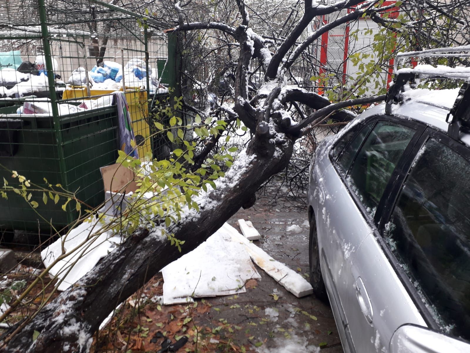 46441822_1102595439918699_946805594575077376_n