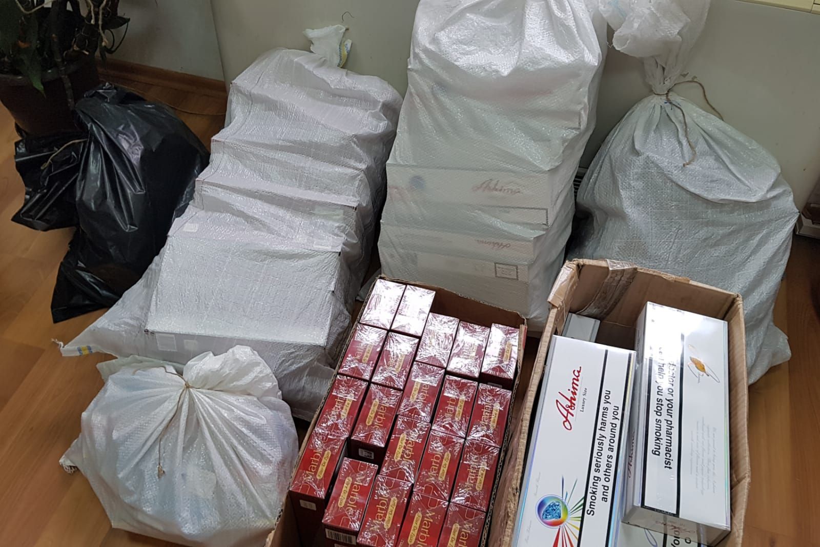 48272803_511159702719535_3928841498887454720_n