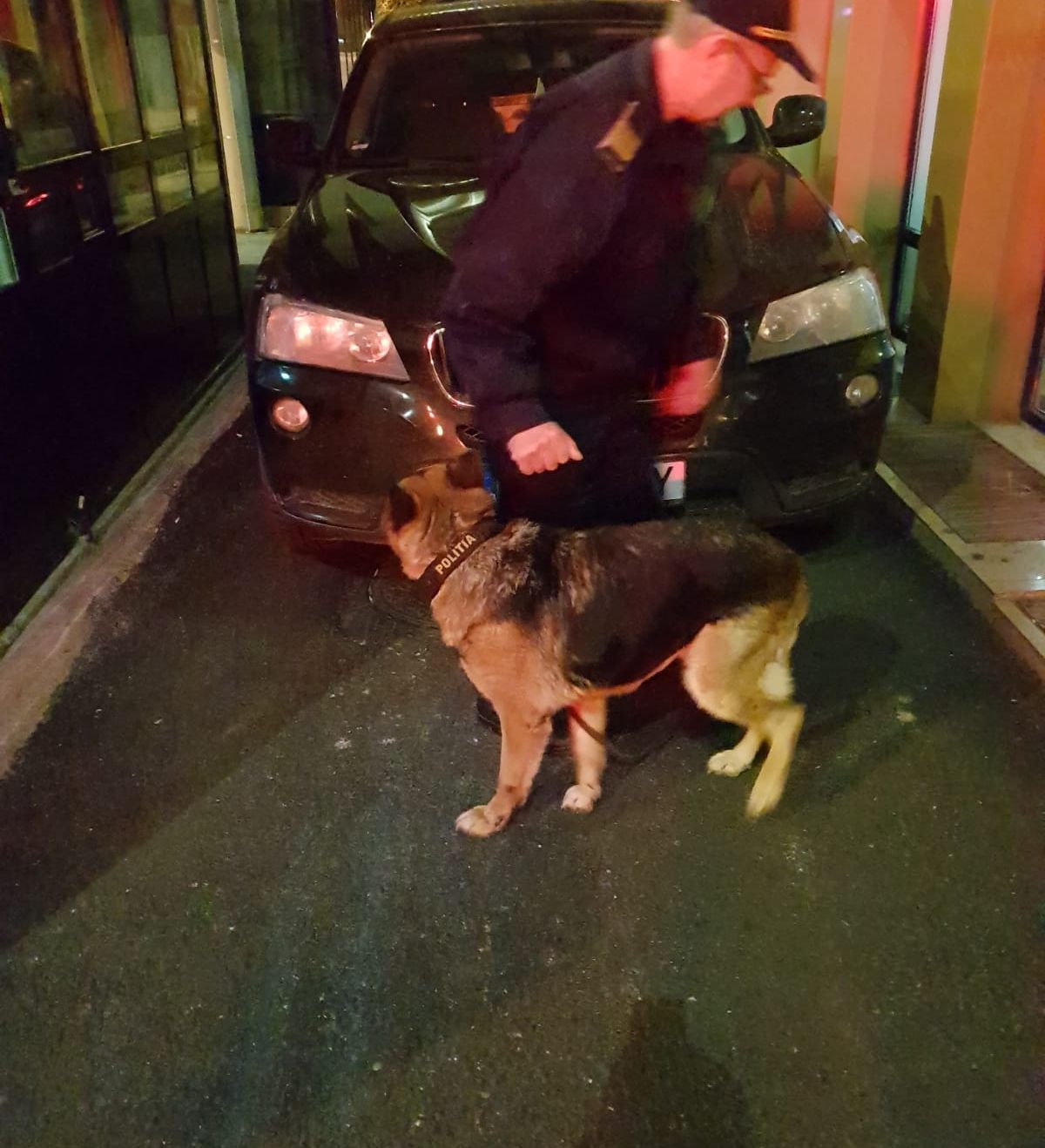 49346016_2262704967094383_9062782075785969664_n