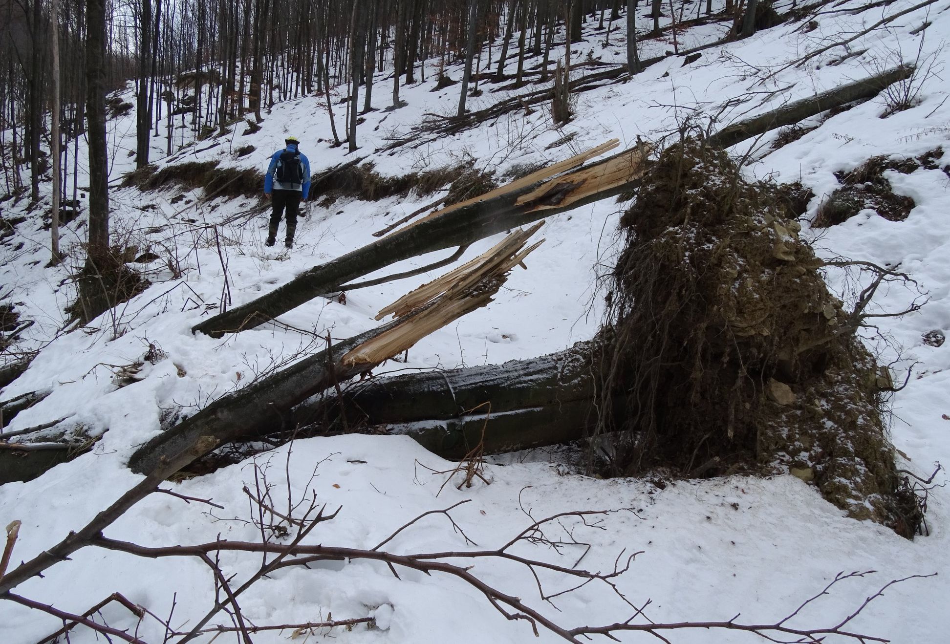 49690854_2233564743530413_7821029502057709568_o