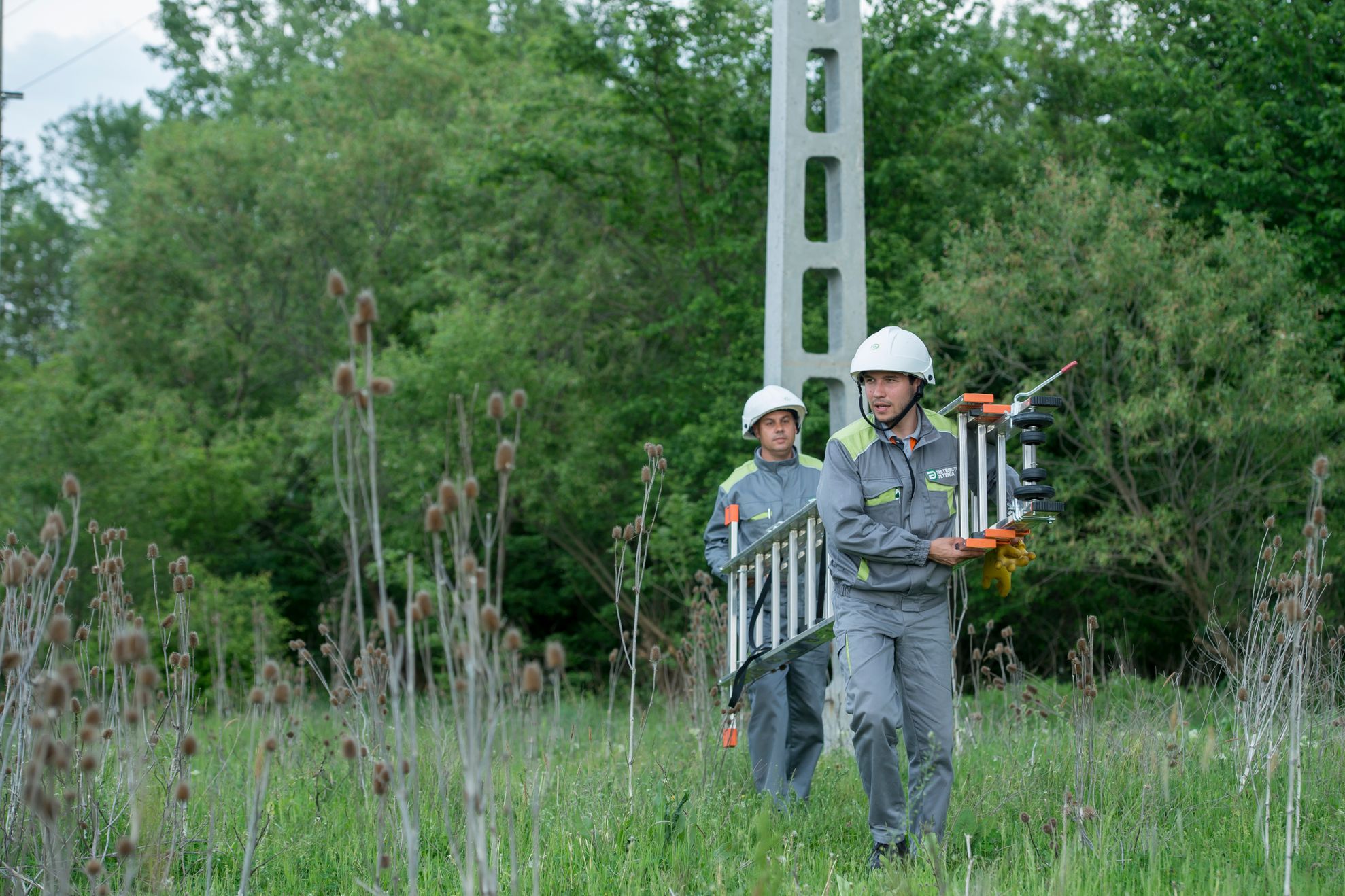 Distributie Oltenia recomanda atentie la arderea vegetatiei uscate (1)